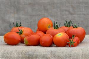 Tomaten gemengd