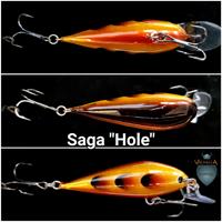 Saga 'Hole'