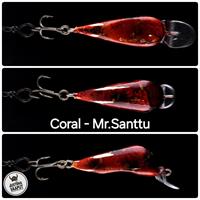 Coral - Mr.Santtu