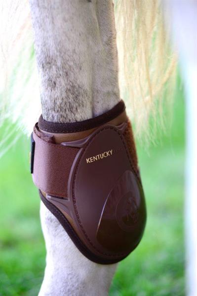 Kentucky, Young Horse Fetlock Boots
