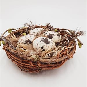 Fågelbo med ägg
