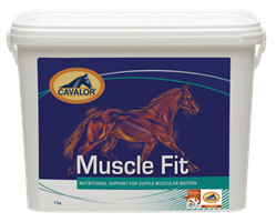 Cavalor Muscle Fit