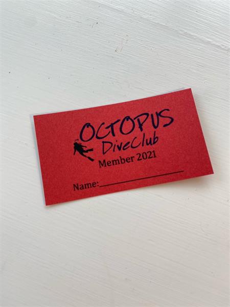 Dagsmedlemskap OCTOPUS Diveclub
