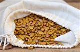 Gele woudboon per 250 gram