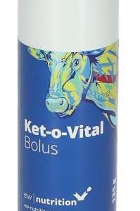 Energibolus Ket-o-Vital 4-p