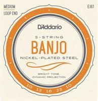 Banjo 010 - 023 (5-String) Ögla
