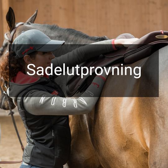 Sadelutprovning Equipe Sadel