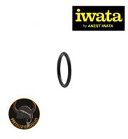 Iwata Packing Head O-Ring