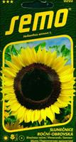 Solros Enorm