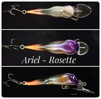 Ariel - Rosette