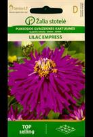 Zinnia  Lilac Empress