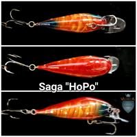 Saga 'HoPo'