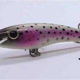 Trout
