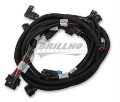 SUB HARNESS, FORD COYOTE TI-VCT