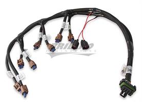 COIL HARNESS, FORD COYOTE (2015.5+)