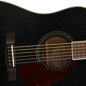 Fender FSR PM-1E  OPEN PORE MBT