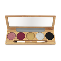 Palette Winterchic
