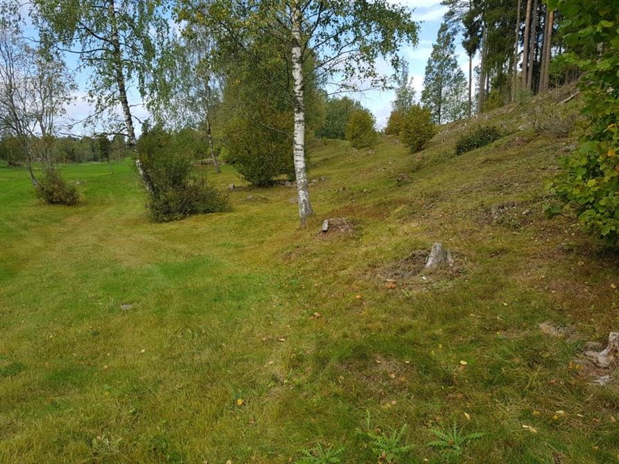 Slåtteräng norr om Bengtsfors i Dalsland där slåttergubbar och andra fina ängsväxter prunkade i juni