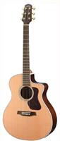 Walden G630CEW El.-Acoustic Guitar