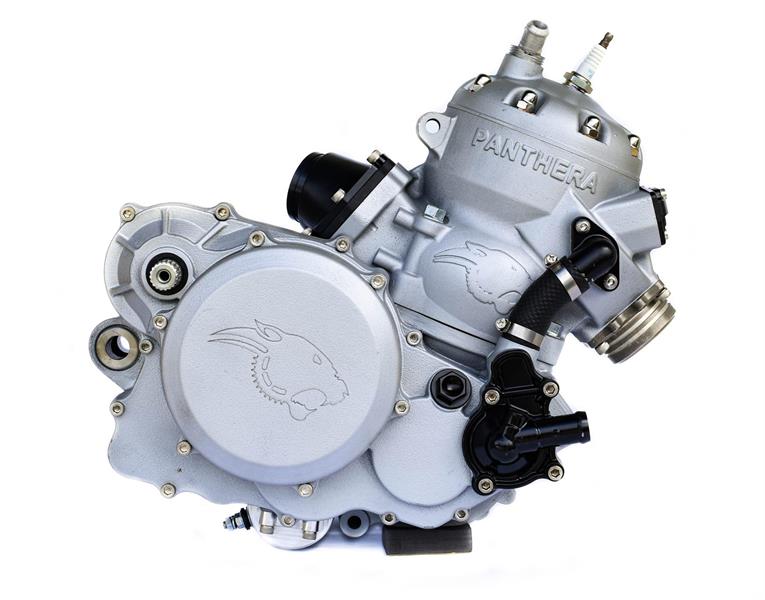 Panthera Engine PM09-22 600cc