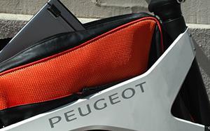 Peugeot  AE 21