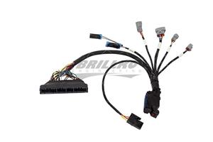 HARNESS KIT, INF HONDA OBD1