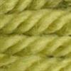 7583 DMC Tapestry wool art. 486