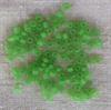 Ärtgrön frostad pärla 4mm