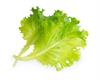 Lingot® Org. Salat