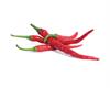 Lingot® Hot Chili