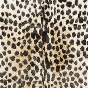 Leo Carpet - Leopard