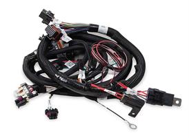 MAIN HARNESS, TERMINATOR TBI, LSX, 24X