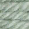7704 DMC Tapestry wool art. 486