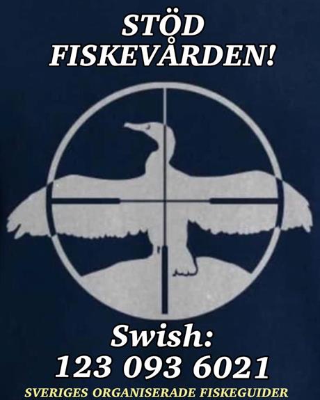 Fiskevård genom aktiv skarvjakt fortsätter!