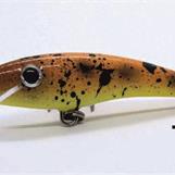 Trout