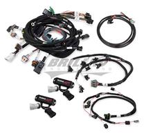 HARNESS KIT, FORD MODULAR 2V