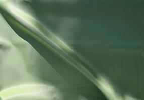 Bäver, klorofyllgrön