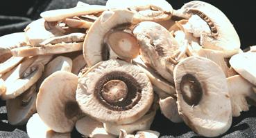 Champingon skivet 0,5 kg