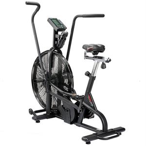 Assault Airbike Classic