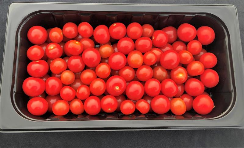 Tomat Cherry Hel 1 kg