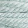 7322 DMC Tapestry wool art. 486