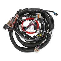  EXTENDED LENGTH 24X LS MAIN HARNESS