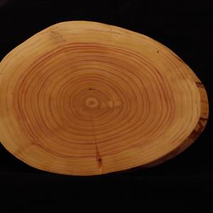 Trissa i cypress