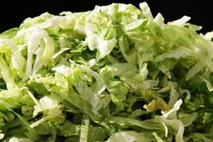 Salat Isberg 0,5 kg