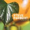 Forbert Steve - Evergreen Boy