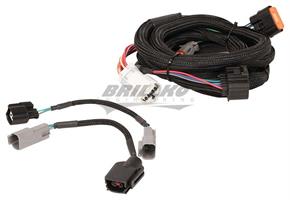 Harness, Ford (4R70W/75W) 98-Up