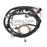 LS2 MAIN HARNESS