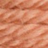 7174 DMC Tapestry wool art. 486