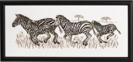 Tavla springande zebror