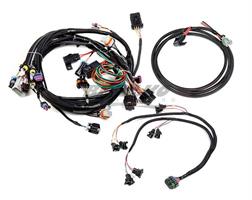 HARNESS KIT, LS1/6, 24X, BOSCH/JETRONIC 